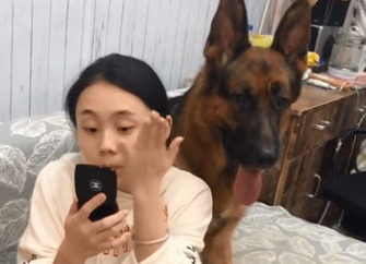 德牧看到女主人对着镜子用劲拍自身面颊后,下一秒的行为令人暖哭 德牧看到女主人对着镜子用劲拍自身面颊后,下一秒的行为令人暖哭