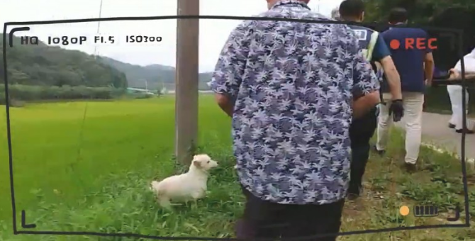 小狗与93岁失能老人姥姥，与此同时下落不明40个钟头，发觉时主仆牢牢地拥抱