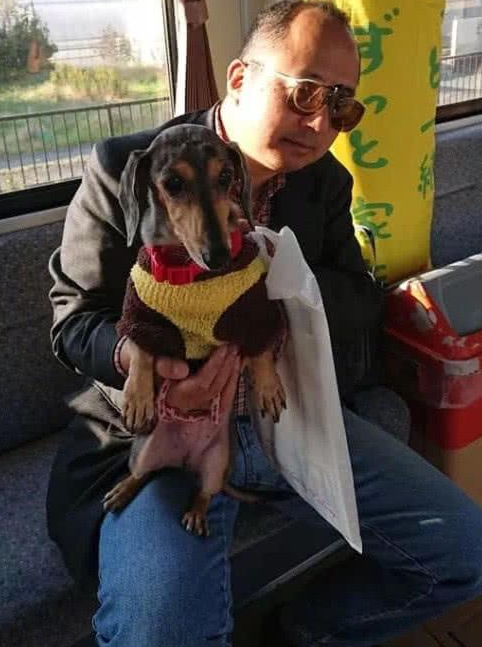 家里小狗也可以搭地铁站，专业为宠物设定的车厢，想进入车内必须掌握下