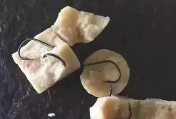 金毛在街边捡了一根香肠,差点儿送命,身后的诡计太可怕了 金毛在街边捡了一根香肠,差点儿送命,身后的诡计太可怕了