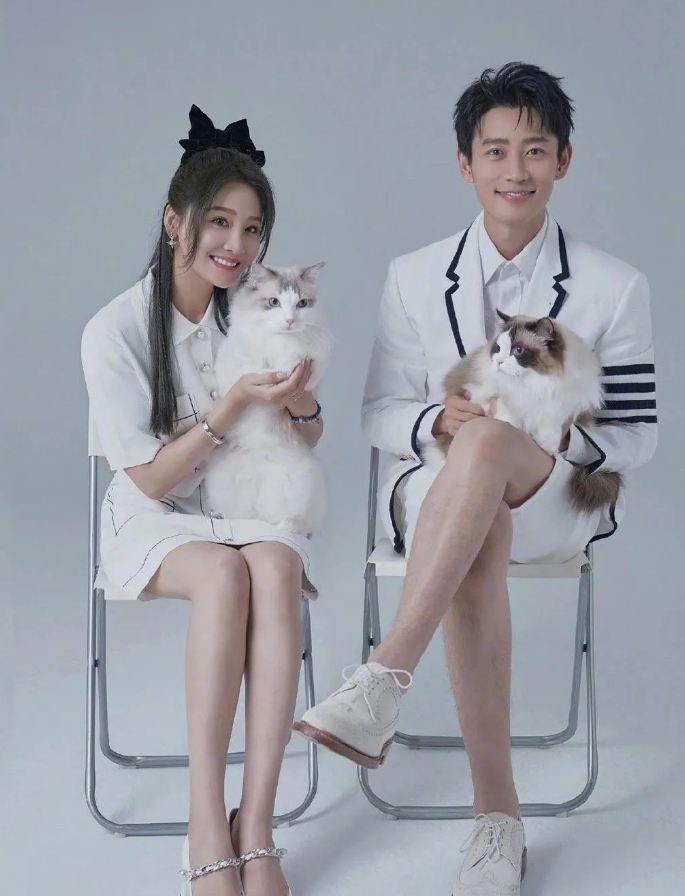 魏晨崩溃了：养猫的人不配拥有强迫症！