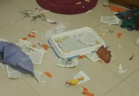 了解我很喜欢小狗,好闺蜜送过来一只金毛,觉得它是重要人的节奏感 了解我很喜欢小狗,好闺蜜送过来一只金毛,觉得它是重要人的节奏感