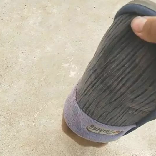 狗狗钻拖鞋中入睡,下面主人将拖鞋提到,狗狗的反映令人笑喷 狗狗钻拖鞋中入睡,下面主人将拖鞋提到,狗狗的反映令人笑喷