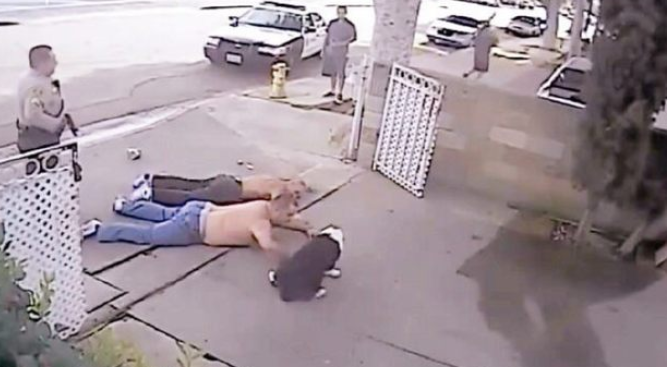 主人跟男人发觉矛盾，狗狗冲到去帮助