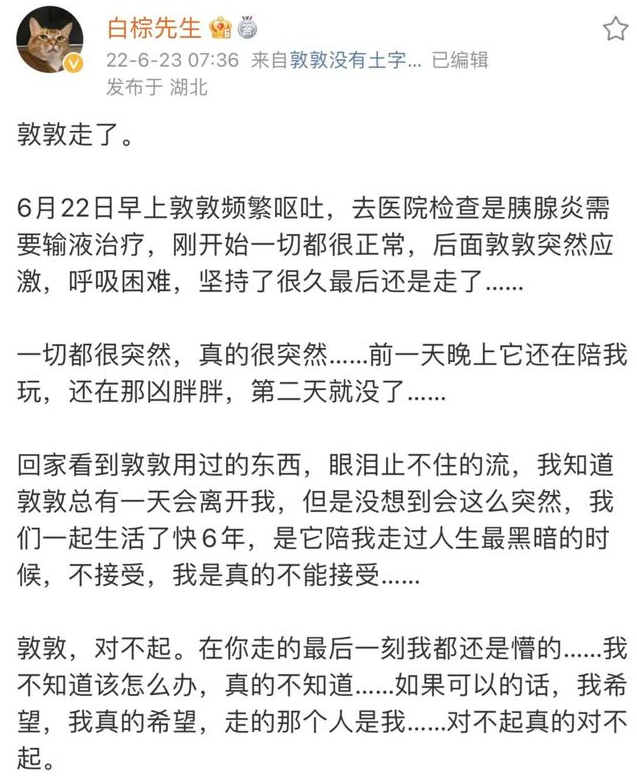 热搜第一,我最爱的表情包敦敦,走了... 热搜第一,我最爱的表情包敦敦,走了...