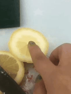 主人家用青柠檬逗狗，狗狗暴跳如雷咬靠枕，狗：再搞我，靠枕便是结局