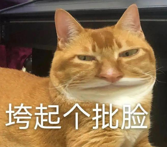 热搜第一,我最爱的表情包敦敦,走了... 热搜第一,我最爱的表情包敦敦,走了...