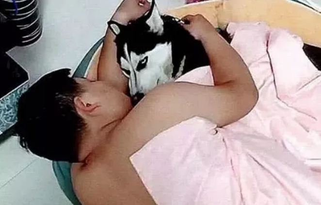 丈夫喝醉酒回家，躺在狗狗的窝旁入睡，二哈：主人你听我表述！