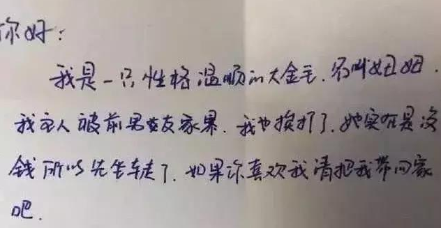 金毛被遗弃在汽车站,见到主人留有的纸条,为她和它觉得可悲! 金毛被遗弃在汽车站,见到主人留有的纸条,为她和它觉得可悲!