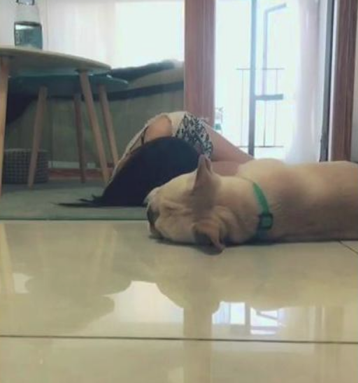 女孩儿在狗狗眼前装昏倒，平常在网上感人至深风格，在它这儿是：喜剧片！