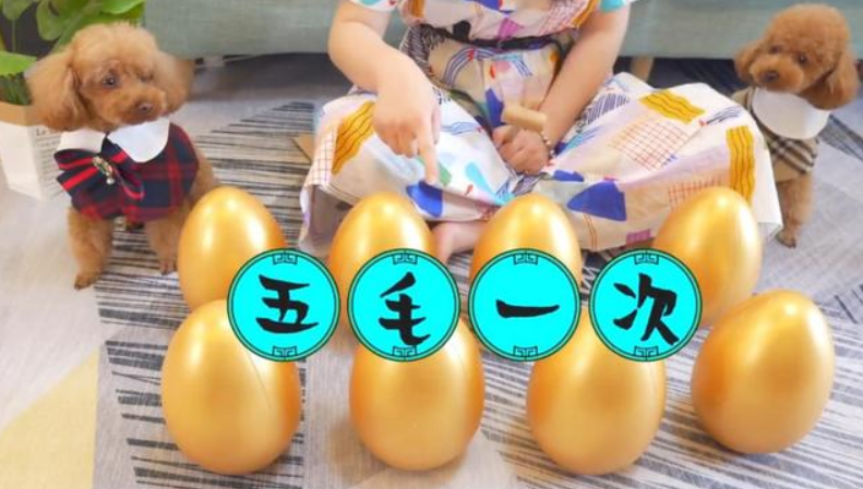 你见过小狗