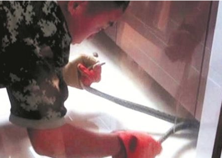 一家老小被一条宠物蛇吓坏 疑是邻居家的