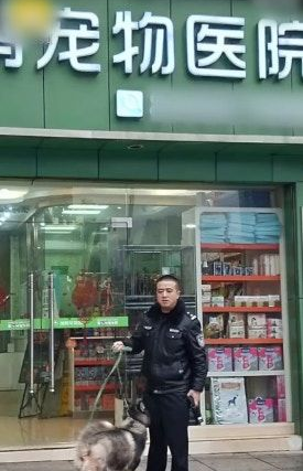 收留走失哈士奇被大搞破坏 办公室差点被拆了 收留走失哈士奇被大搞破坏 办公室差点被拆了