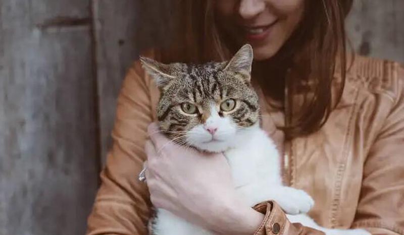 “男不养猫,女不养狗”有道理吗?一文替你解答! “男不养猫,女不养狗”有道理吗?一文替你解答!