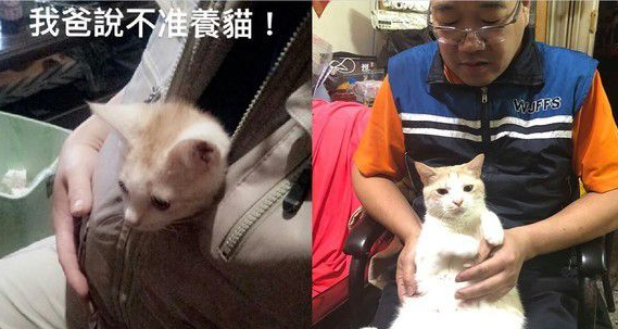史上最快被征服的长辈!从不爱猫到成为猫奴