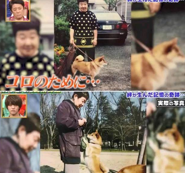 狗狗和主人都换上了老年痴呆 多年后的重逢 还会认得彼此吗？