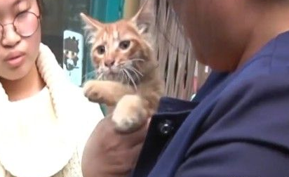 幸好救援计画大成功！猫咪被困管道深处幸得路人相救