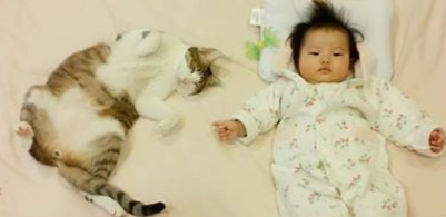 喵星人当哥哥陪伴妹妹睡觉 超温暖的画面