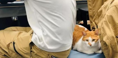 猫咪作为公关部长,其实处于公司底层,被员工各种蹂躏狂吸! 猫咪作为公关部长,其实处于公司底层,被员工各种蹂躏狂吸!