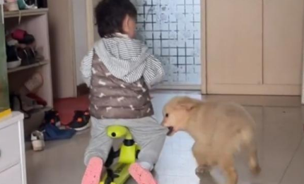 小孩子和毛孩子，成长道路上的好朋友