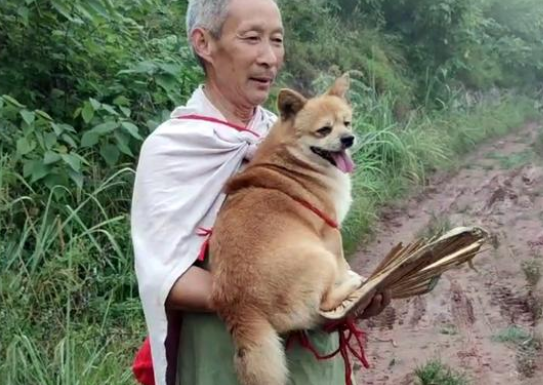 狗狗有主人,却比流浪狗过得还艰辛,上千人希望它被带走! 狗狗有主人,却比流浪狗过得还艰辛,上千人希望它被带走!