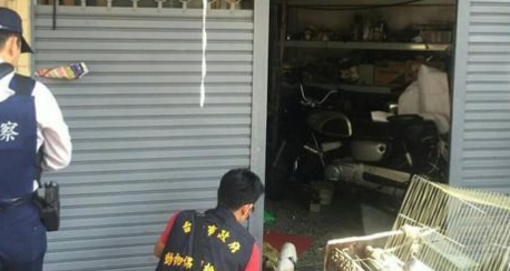 台湾男子徒手虐死幼犬 称“我教训它不关别人的事!” 台湾男子徒手虐死幼犬 称“我教训它不关别人的事!”