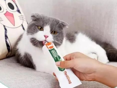 猫吃化毛膏多久才会吐毛 猫吃化毛膏多久才会吐毛
