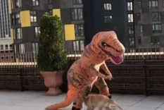 小黄金猎犬乱入镜头乱跑 主人演侏罗纪公园被搞砸 小黄金猎犬乱入镜头乱跑 主人演侏罗纪公园被搞砸