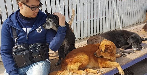 高龄爱犬过世2年 狗园意外偶遇接班狗老浪黑 高龄爱犬过世2年 狗园意外偶遇接班狗老浪黑