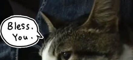 听到主人打喷嚏，咳嗽 喵星人竟然都会喵叫回应