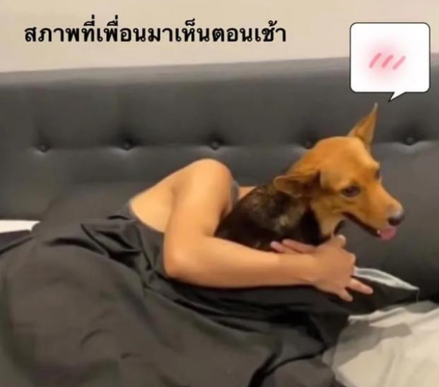 泰国小哥喝断片,醒后发现家里多了只狗?好友:昨晚你绑回来的! 泰国小哥喝断片,醒后发现家里多了只狗?好友:昨晚你绑回来的!