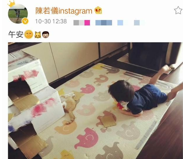 不老男神林志颖儿子kimi趴在地上和宠物猫对视，人比猫萌！