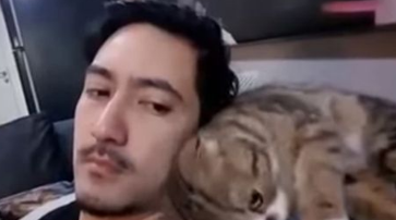 猫咪看不惯猫奴的发型 只好亲自动手
