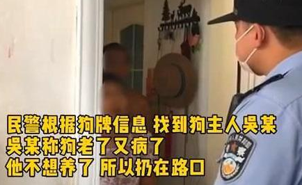 狗狗因年老被弃路边还被车撞,主人:狗老了不想养 狗狗因年老被弃路边还被车撞,主人:狗老了不想养