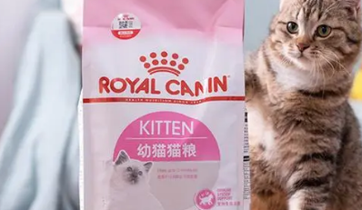 皇家猫粮如何区分真假 皇家猫粮如何区分真假