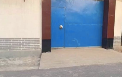 经过他人家时，发觉大门上卡着一颗狗头，猫眼落伍了流行狗眼了？
