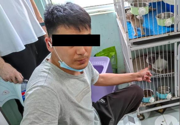 猫贩子入室盗走宠物猫，警方当天破案为“铲屎官”找回爱宠