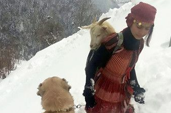 羊妈妈暴风雪生宝宝 狗狗冒着生命危险拯救 羊妈妈暴风雪生宝宝 狗狗冒着生命危险拯救