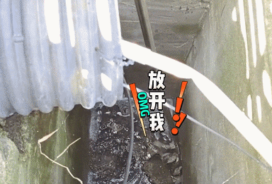 幼崽掉下水道被救起,猫妈反手就一个大逼斗…全世界的妈妈都一样 幼崽掉下水道被救起,猫妈反手就一个大逼斗…全世界的妈妈都一样