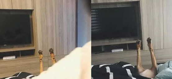 狗狗阿姨带小孩子，第二天入睡跟丧尸一样，腿直直抬起
