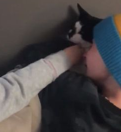 最棒的新年礼物！失而复得被通知已死亡的爱猫