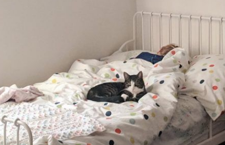 买房竟然还送猫! 暖心夫妇就地收编前屋主爱猫 买房竟然还送猫! 暖心夫妇就地收编前屋主爱猫