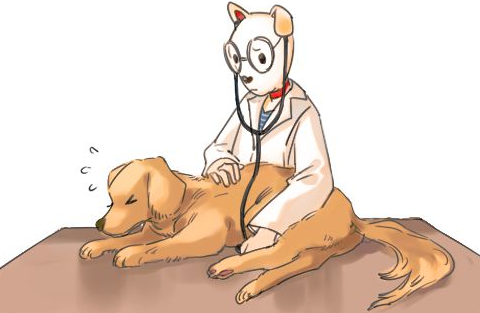 狗狗忍痛割爱能力虽强，却并不是哪些好事儿，怎样发觉汪不舒服呢？