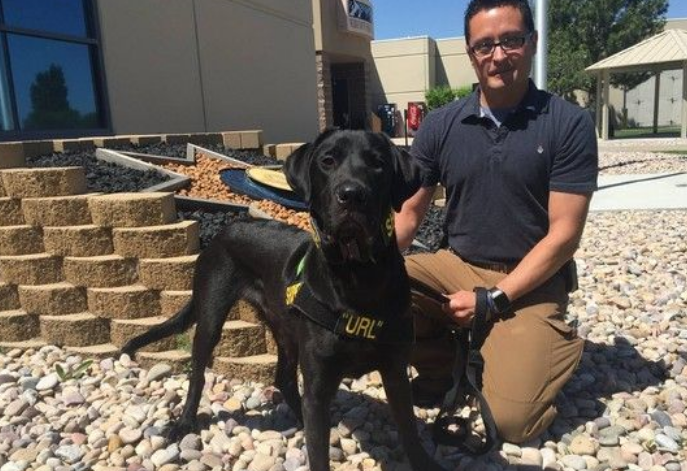 美国扫黄犬助警破案 嗅出层层保护USB的化学气味 美国扫黄犬助警破案 嗅出层层保护USB的化学气味