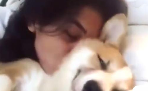 狗狗被女主人怀着睡,結果笑容可真贱,幸福快乐全写在脸部! 狗狗被女主人怀着睡,結果笑容可真贱,幸福快乐全写在脸部!