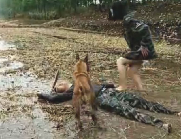 小伙突发性病症瘫倒，狗狗看到后，干了那件过后一家人都谢谢它