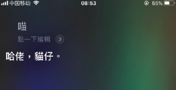 让Siri叫猫咪？怎么会有这样的操作 真的是奇葩网友多