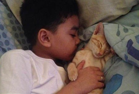 有“阴谋”的小橘猫当恶霸挡路获得了好心人收养 有“阴谋”的小橘猫当恶霸挡路获得了好心人收养