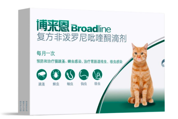 猫跳蚤怎么除?实力之选博来恩 猫跳蚤怎么除?实力之选博来恩