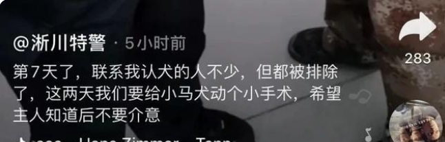 流浪狗闯进警局“应聘”警犬，网友：现在想当警犬都靠耍赖皮吗？